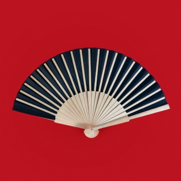 Don't Be a Cunt Hand Fan