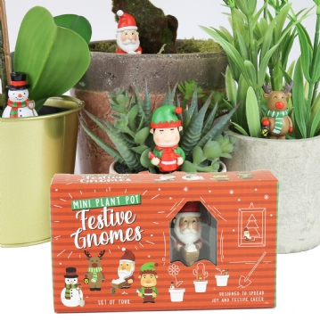 Mini Plant Pot Festive Gnomes