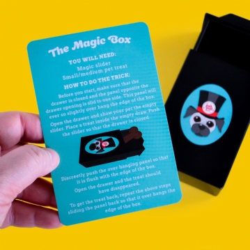 Magic Tricks With Your Pet