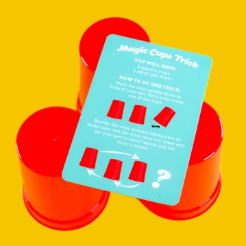 Magic Tricks With Your Pet