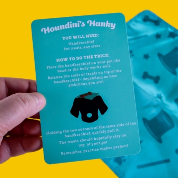 Magic Tricks With Your Pet