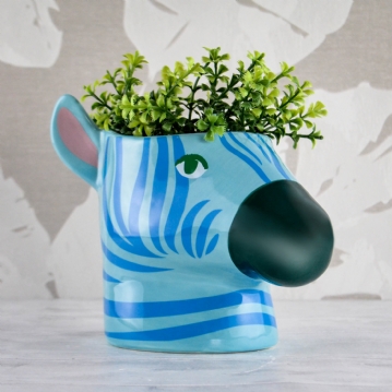 Zebra Plant Pot