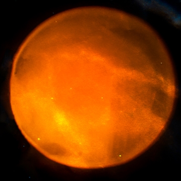 Astronaut Sunset Lamp