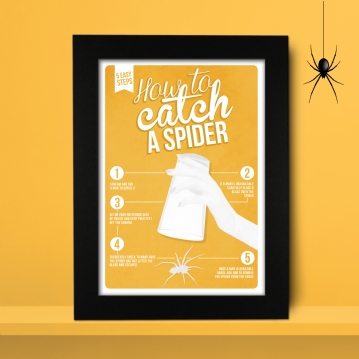 how to catch a spider poster