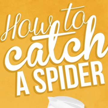 how to catch a spider poster
