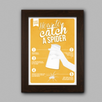 how to catch a spider poster