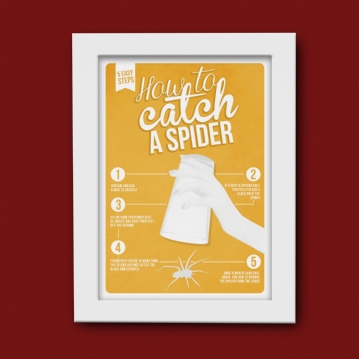 how to catch a spider poster