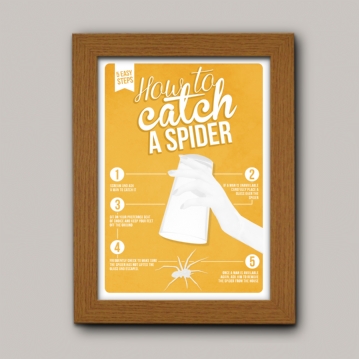 how to catch a spider poster