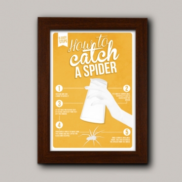 how to catch a spider poster