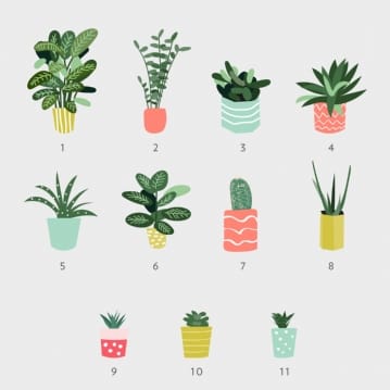 Personalised Houseplant Family Prints
