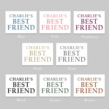 Best friend teddy store