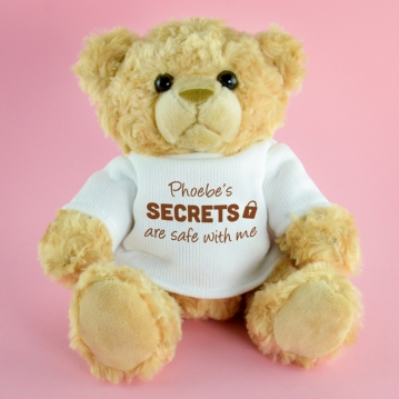 Teddy bear safe sales
