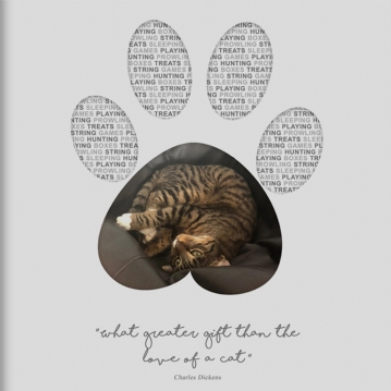 Personalised Photo Cat Paw Print