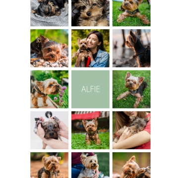 Personalised Photo Album Light Box