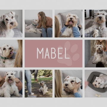 Personalised Dog Photo Collage Print