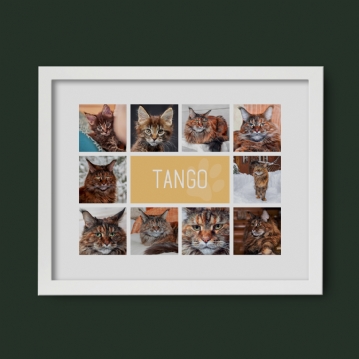 Personalised Cat Photo Collage Print