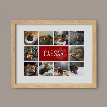 Personalised Cat Photo Collage Print