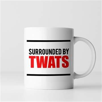 Surrounded by Twats Mug