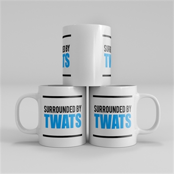 Surrounded by Twats Mug