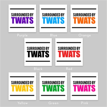 Surrounded by Twats Mug