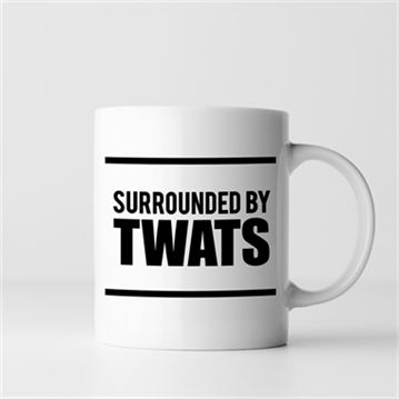 Surrounded by Twats Mug