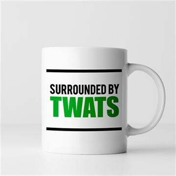 Surrounded by Twats Mug