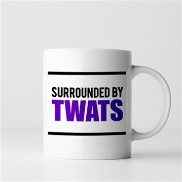 Surrounded by Twats Mug