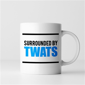Surrounded by Twats Mug