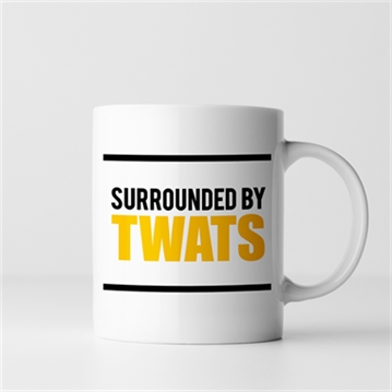 Surrounded by Twats Mug