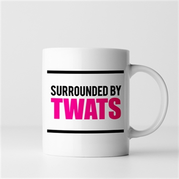 Surrounded by Twats Mug