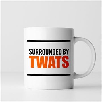 Surrounded by Twats Mug