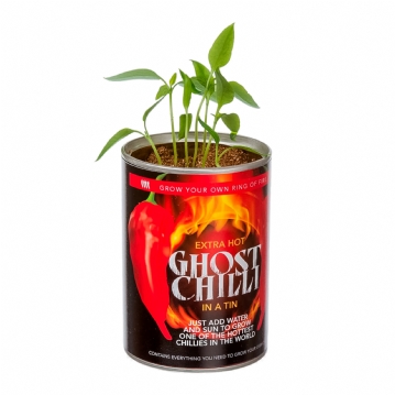 Grow Your Own Ghost Chilli