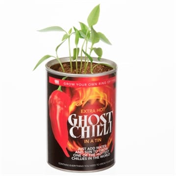 Grow Your Own Ghost Chilli