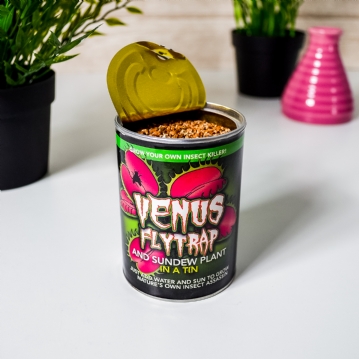 Venus Fly Trap in a Tin