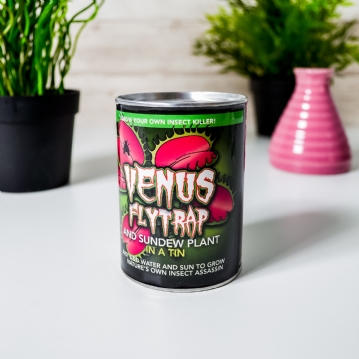 Venus Fly Trap in a Tin