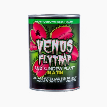 Venus Fly Trap in a Tin
