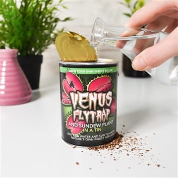 Venus Fly Trap in a Tin