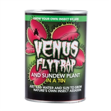 Venus Fly Trap in a Tin