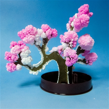 Science Museum Grow Your Own Magic Trees