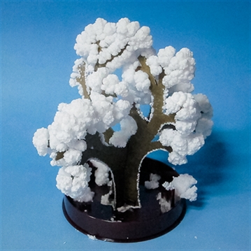 Science Museum Grow Your Own Magic Trees