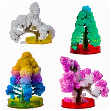 Science Museum Grow Your Own Magic Trees