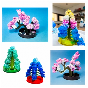 Science Museum Grow Your Own Magic Trees