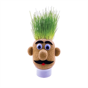 Grow Your Own Grass Head