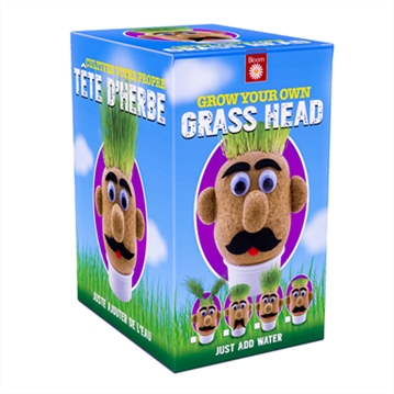 Grow Your Own Grass Head