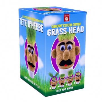 Grow Your Own Grass Head