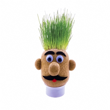 Grow Your Own Grass Head