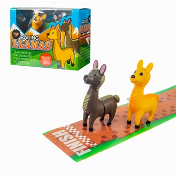 Racing Llamas
