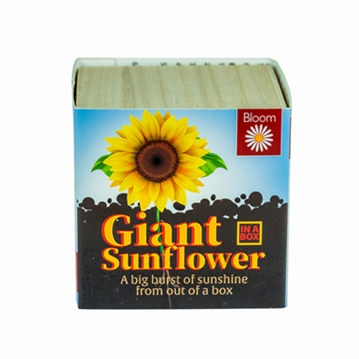 Grow Your Own Giant Sunflower