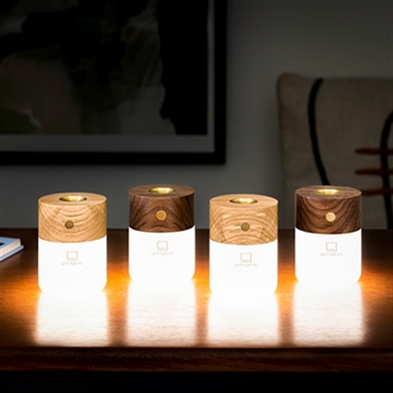  Smart Diffuser Lamp