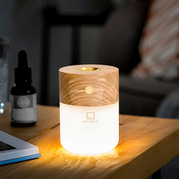  Smart Diffuser Lamp